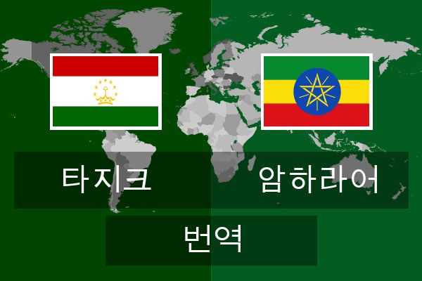  암하라어 번역