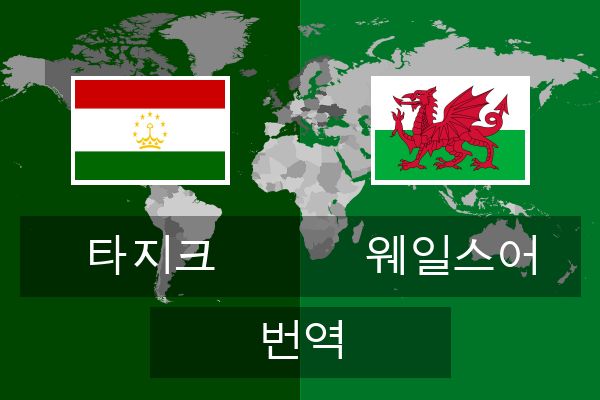  웨일스어 번역