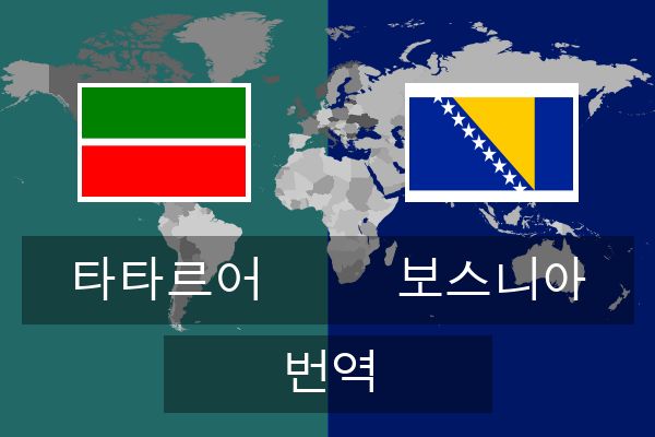  보스니아 번역