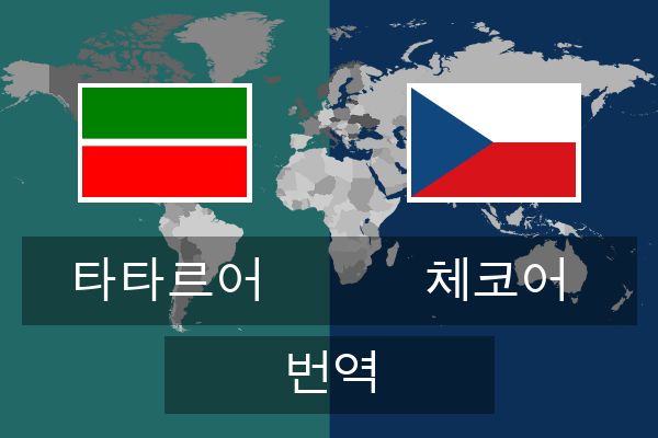  체코어 번역