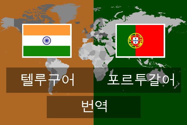  포르투갈어 번역