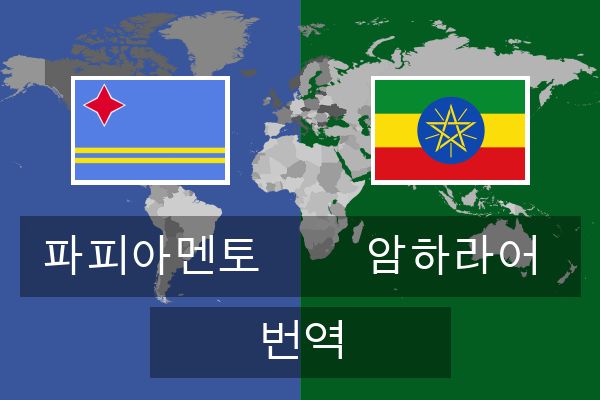  암하라어 번역
