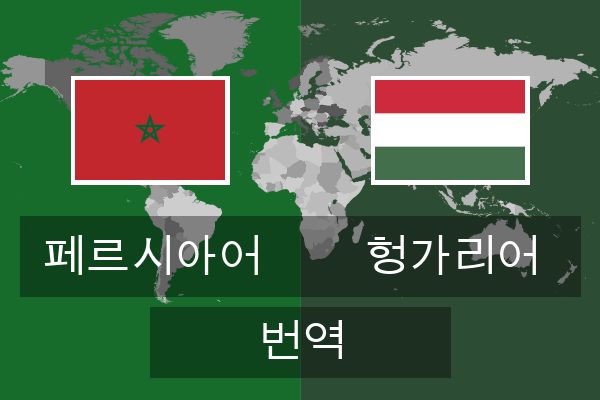  헝가리어 번역