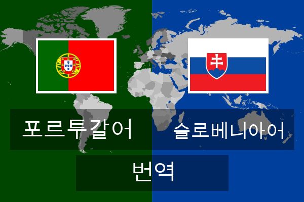  슬로베니아어 번역