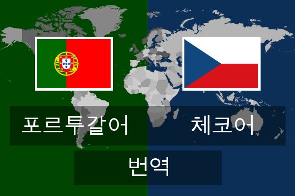  체코어 번역