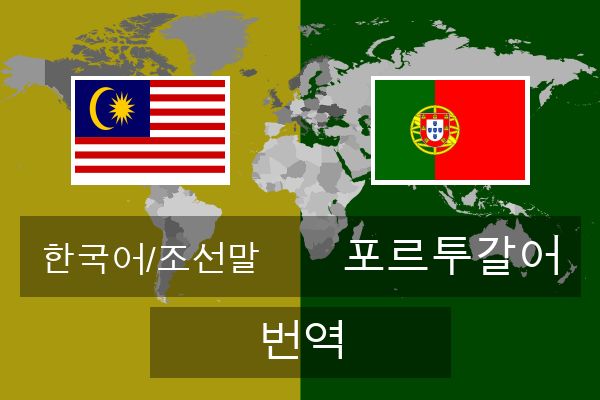  포르투갈어 번역