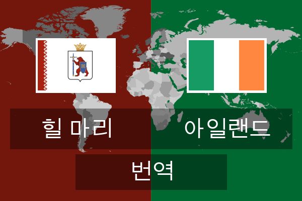  아일랜드 번역