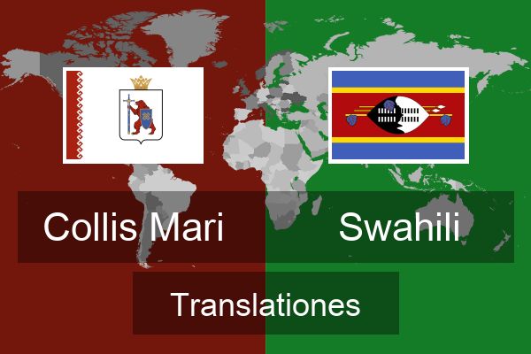  Swahili Translationes