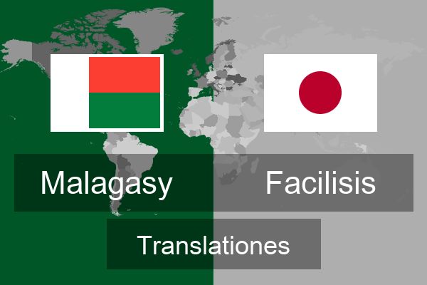  Facilisis Translationes