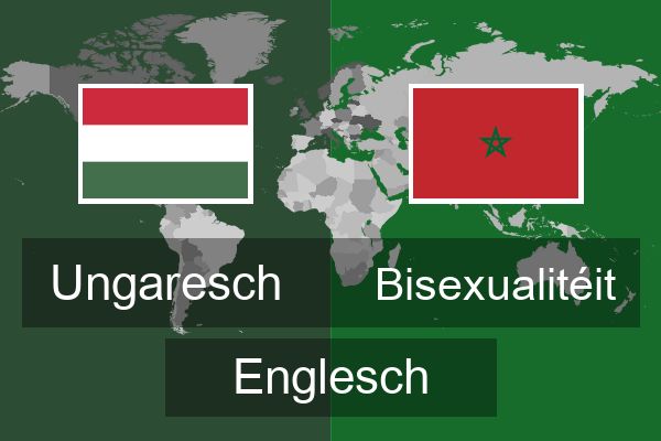  Bisexualitéit Englesch