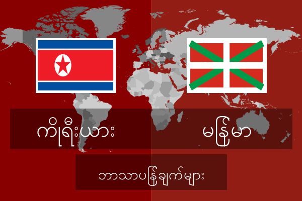  မြန်မာ ဘာသာပြန်ချက်များ