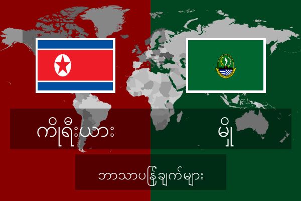  မှို ဘာသာပြန်ချက်များ