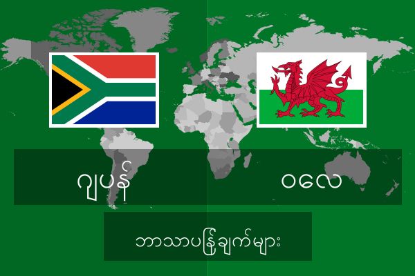  ဝေလ ဘာသာပြန်ချက်များ