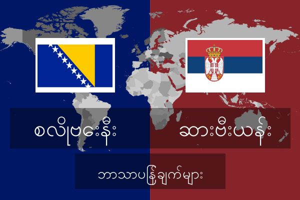  ဆားဗီးယန်း ဘာသာပြန်ချက်များ