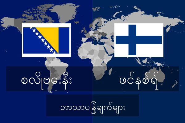  ဖင်နစ်ရှ် ဘာသာပြန်ချက်များ