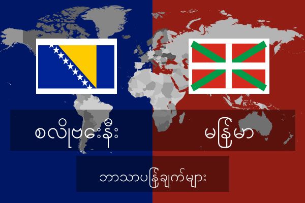  မြန်မာ ဘာသာပြန်ချက်များ