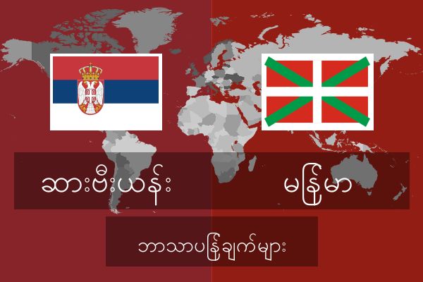  မြန်မာ ဘာသာပြန်ချက်များ