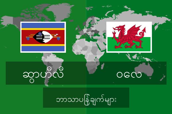  ဝေလ ဘာသာပြန်ချက်များ