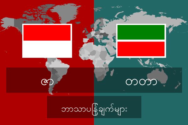  တတာ ဘာသာပြန်ချက်များ