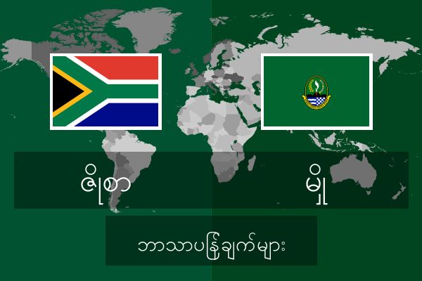  မှို ဘာသာပြန်ချက်များ