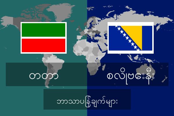  စလိုဗေးနီး ဘာသာပြန်ချက်များ