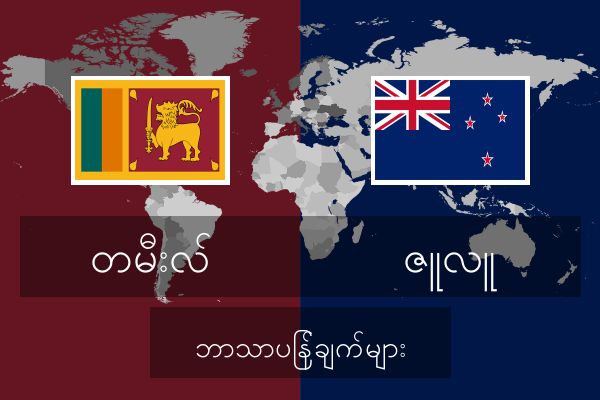  ဇူလူ ဘာသာပြန်ချက်များ