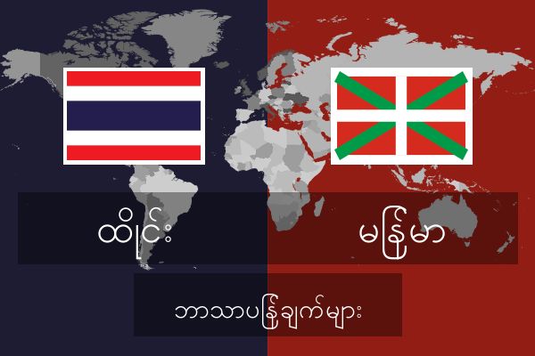  မြန်မာ ဘာသာပြန်ချက်များ