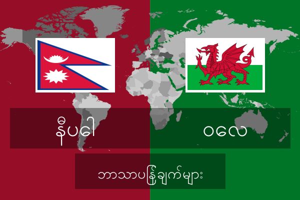  ဝေလ ဘာသာပြန်ချက်များ