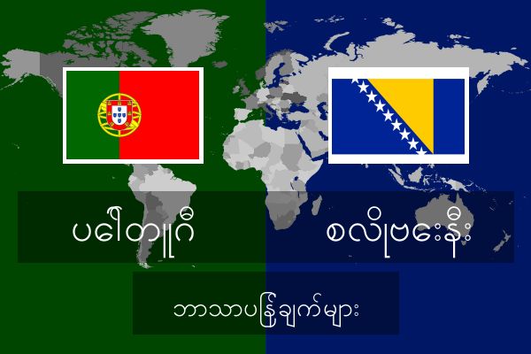  စလိုဗေးနီး ဘာသာပြန်ချက်များ
