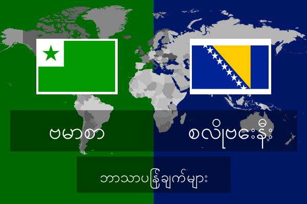  စလိုဗေးနီး ဘာသာပြန်ချက်များ