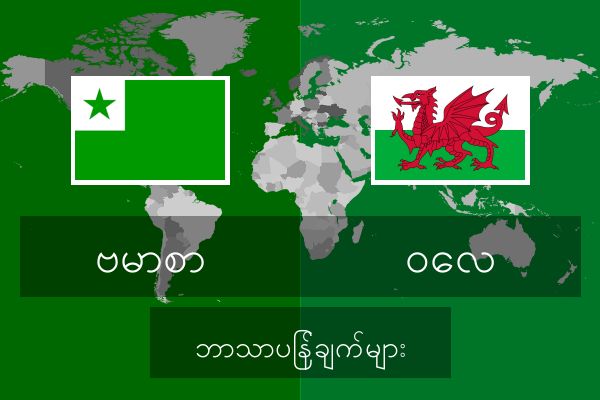  ဝေလ ဘာသာပြန်ချက်များ