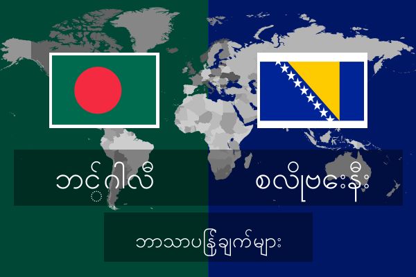  စလိုဗေးနီး ဘာသာပြန်ချက်များ