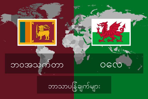  ဝေလ ဘာသာပြန်ချက်များ