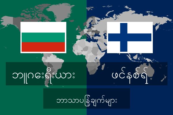  ဖင်နစ်ရှ် ဘာသာပြန်ချက်များ