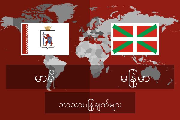  မြန်မာ ဘာသာပြန်ချက်များ