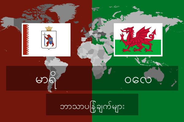  ဝေလ ဘာသာပြန်ချက်များ