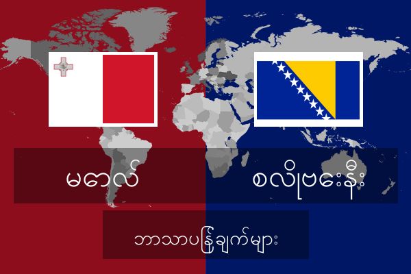  စလိုဗေးနီး ဘာသာပြန်ချက်များ