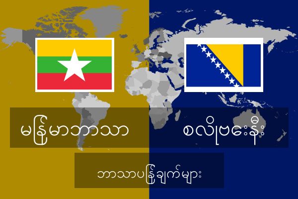  စလိုဗေးနီး ဘာသာပြန်ချက်များ