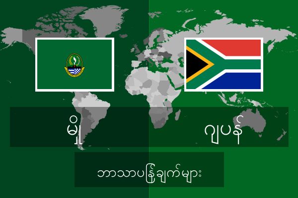  ဂျပန် ဘာသာပြန်ချက်များ