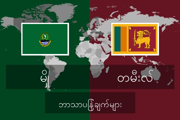  တမီးလ် ဘာသာပြန်ချက်များ