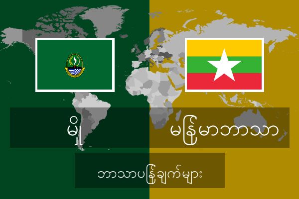  မြန်မာဘာသာ ဘာသာပြန်ချက်များ