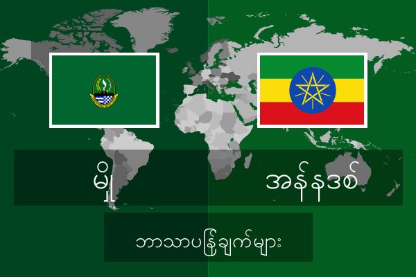  အန်နဒစ် ဘာသာပြန်ချက်များ