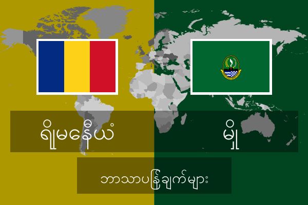  မှို ဘာသာပြန်ချက်များ