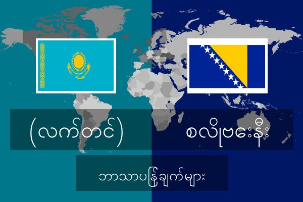  စလိုဗေးနီး ဘာသာပြန်ချက်များ