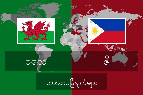 ဇို ဘာသာပြန်ချက်များ