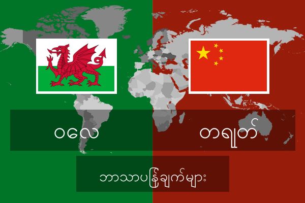  တရုတ် ဘာသာပြန်ချက်များ