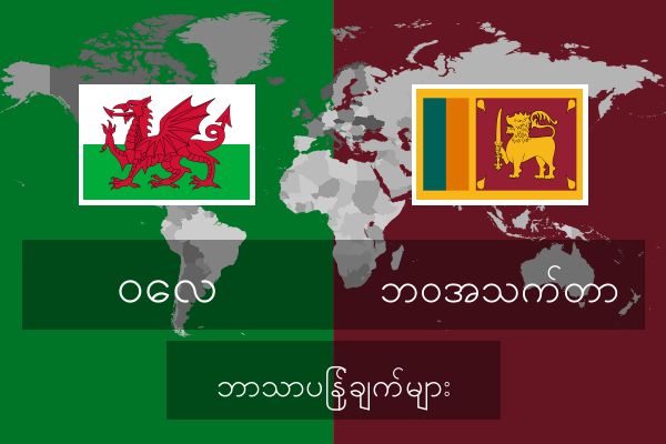  ဘဝအသက်တာ ဘာသာပြန်ချက်များ