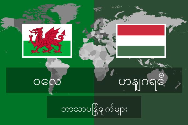  ဟနျဂရေီ ဘာသာပြန်ချက်များ