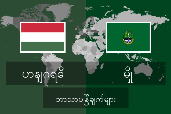  မှို ဘာသာပြန်ချက်များ