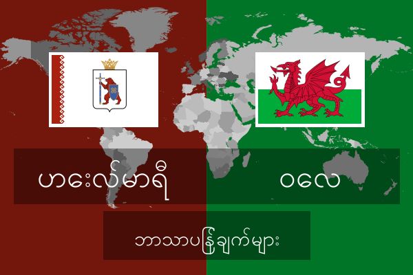  ဝေလ ဘာသာပြန်ချက်များ